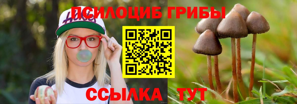 Куйбышев  Галлюциногенные грибы GOLDEN TEACHER  Вход с VPN 
